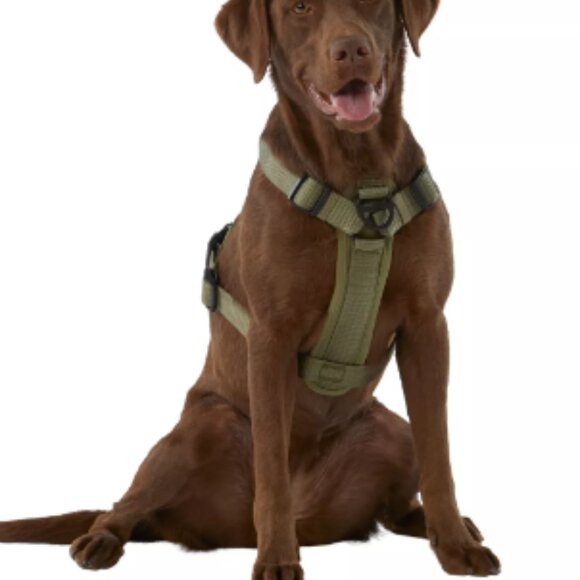 Kong Reflective Waste Bag Dog Harness in Green - Picture 2 of 6